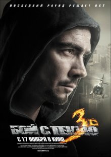 Бой с тенью 3D: Последний раунд (2011)